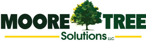 Moore Tree Solutions LLC
